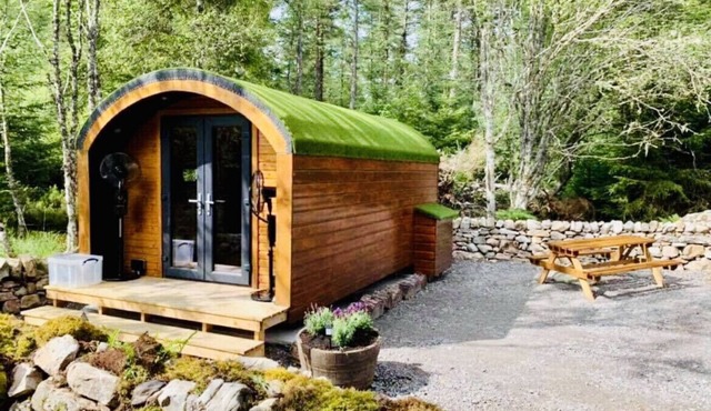Luxury Glamping Pod surrounded by nature.