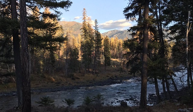 Luxury Guest House With River Access