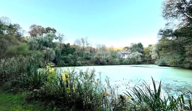 Luxury Hideaway on Serene and Private Acreage