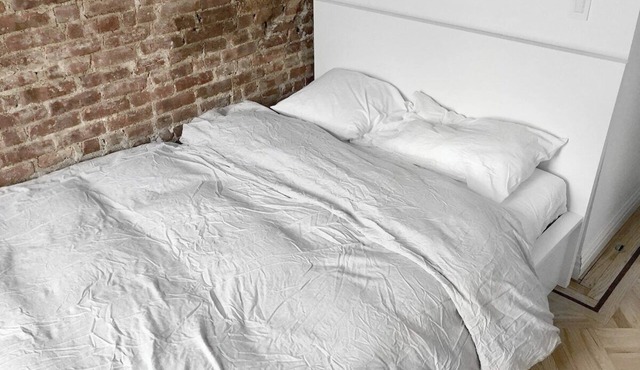 Luxury Historic Brooklyn Apt in Bed Stuy