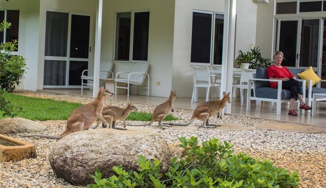 Luxury Home in Nature surrounded by Wallabies