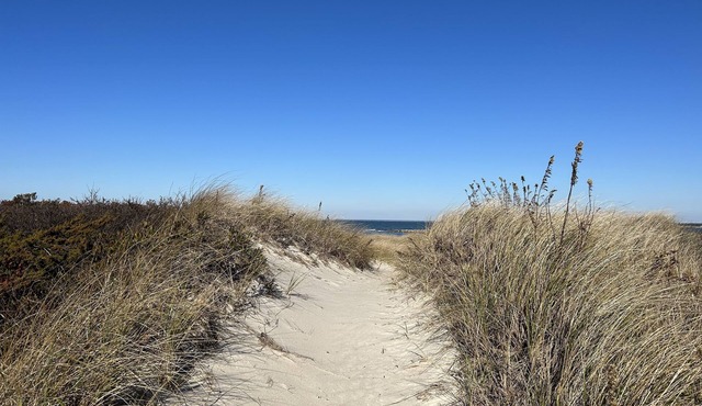 Luxury home located 2 min walk from Skaket Beach. Sunny, spacious and private.