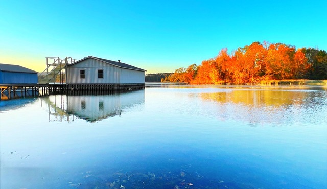 Luxury Home on Lake Guntersville