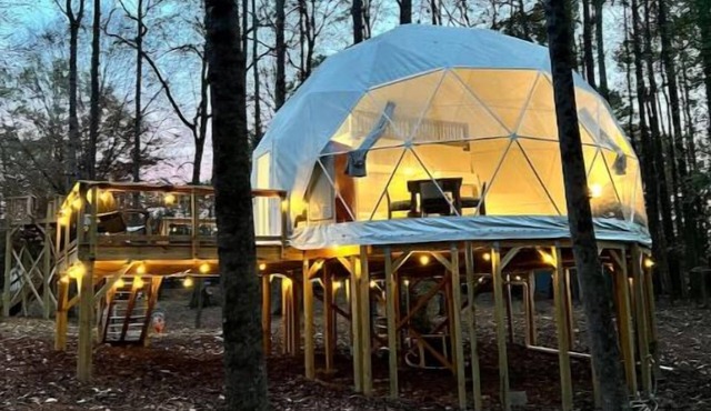 Luxury Honey Dome Treehouse with private Hot Tub