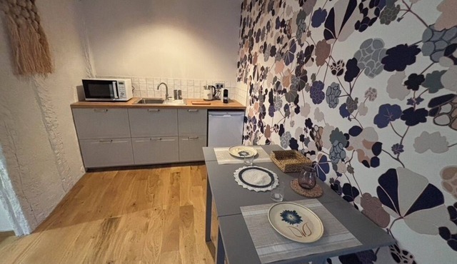 LUXURY HOUSE, HISTORIC HEART AND SEINE BANK