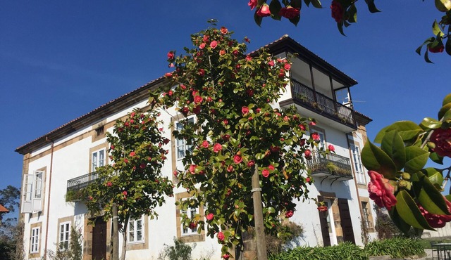 Luxury house with private garden.