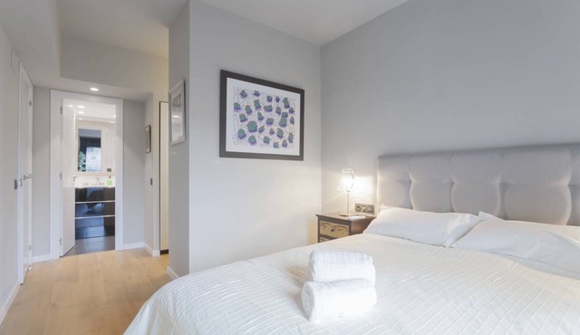 Luxury II-cozy apartment in exclusive district of Madrid