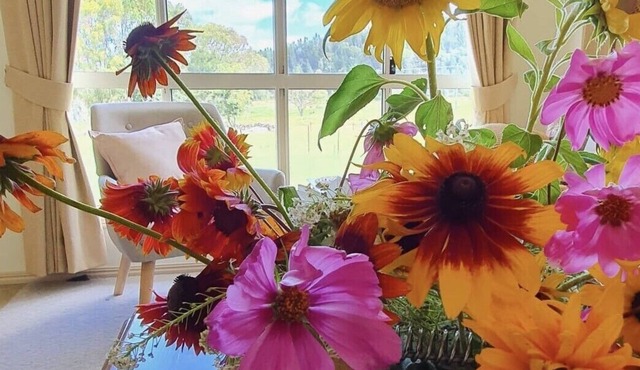 Luxury in Secluded Valley, Wineries, spa, massage & views. Stanthorpe Qld