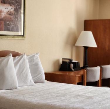 Luxury Inn & Suites