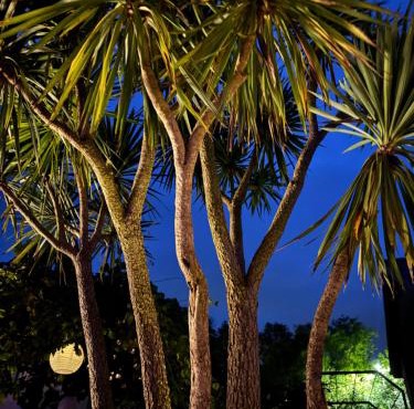 Luxury Lake Front Escape With Hot Tub