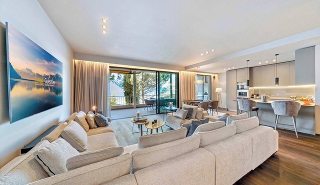 Luxury Lakefront Loft in Montreux Swiss Reviera