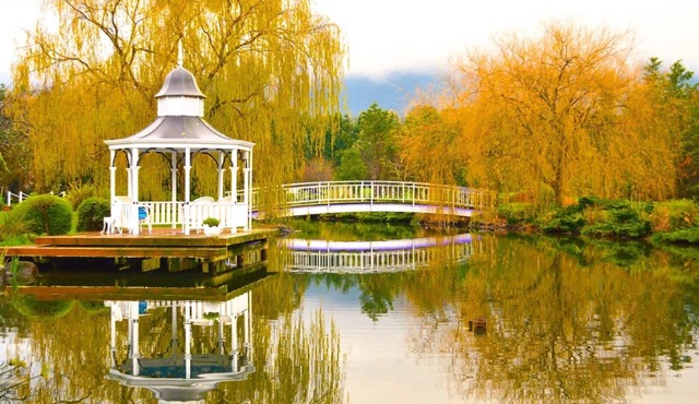 Luxury Lakeside Cottage B&B