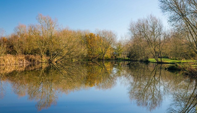 Luxury Lakeside Lodge JACKDAW, with hot tub.