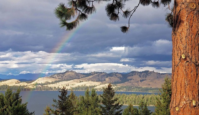 Luxury Lodge: Flathead Lake & Wild Horse Island