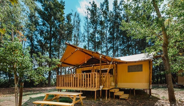 Luxury Lodge for 5 people
