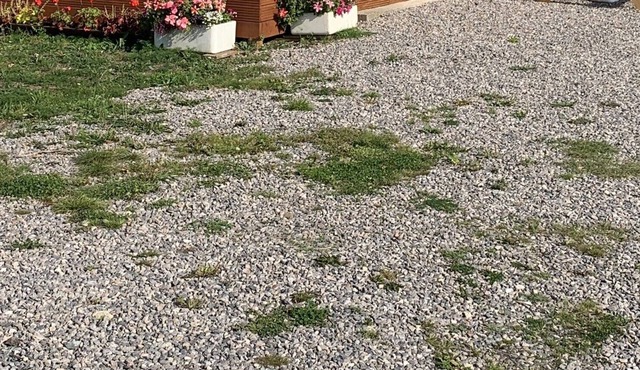 Luxury Lodge near Glastonbury festival and Bath and West Showground.