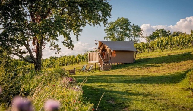 Luxury Lodge Tent in the vineyard