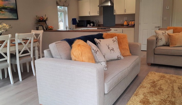 Luxury Lodge with Woodland view with hot tub at Hollicarrs - Stag Lodge