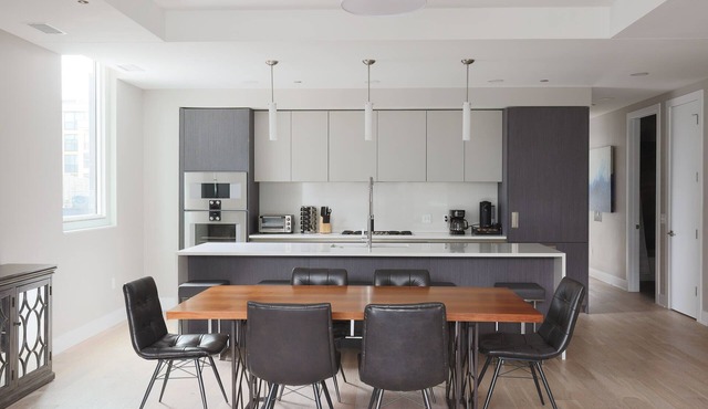 Luxury Loft Collection 02 - Terrace - River North