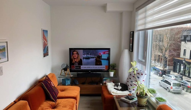 Luxury loft, downtown, private terrasse, everything included, near the Subway.