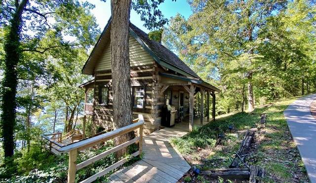 Luxury Log Cabin and 40 acres on Douglas Lake