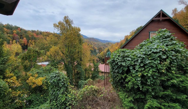 Luxury Log Cabin, Mountain & City Views