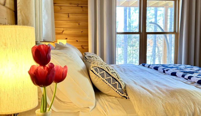 Luxury log cabin on nearly 2 acres with dock, beach, and water toys!