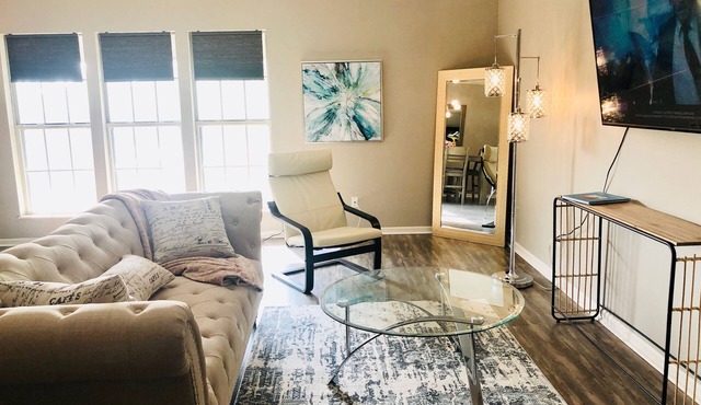 Luxury Modern 1 Bed/1 Bath Condo