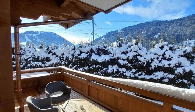 Luxury Modern Chalet in Gstaad