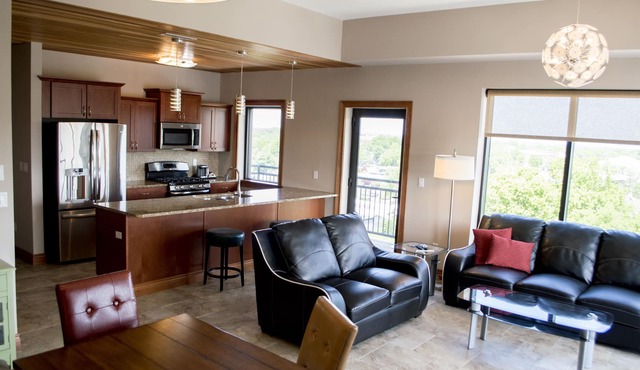 Luxury Modern Downtown Columbia Lofts. 2 Beds, 2 Baths