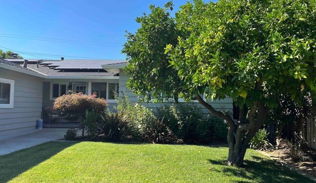 Luxury Modern Sunny House Fully Stocked Kitchen Fenced Yard Pet Friendly