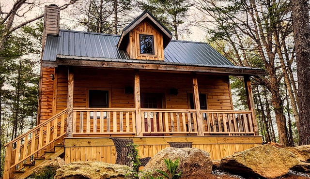 Luxury Mountain View Cabin Near Asheville, NC