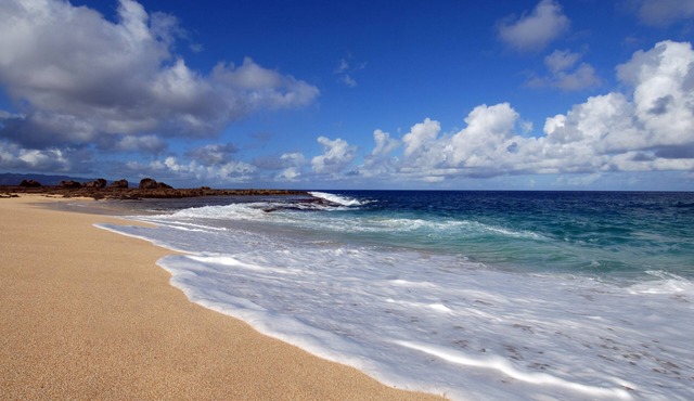 Luxury North Shore Beachfront - contact for details HI requires 1 renter/30 days