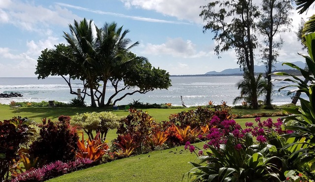 Luxury Oceanfront Condo - Fabulous Ground Floor 3BR/2BA, Sleeps 6 - Lae Nani 511