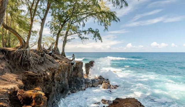 Luxury Oceanfront Ohana Treehouse Gated Community