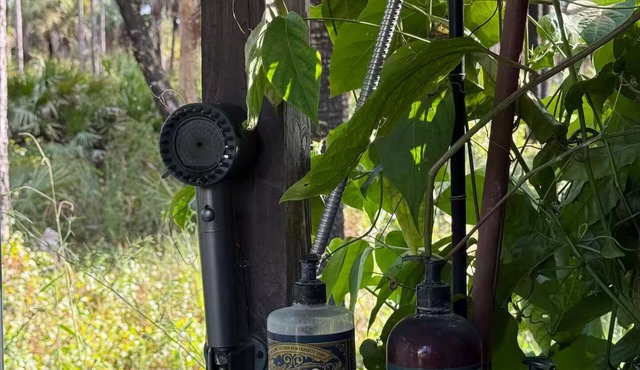 Luxury off-grid passionfruit covered shipping container immersed in nature.