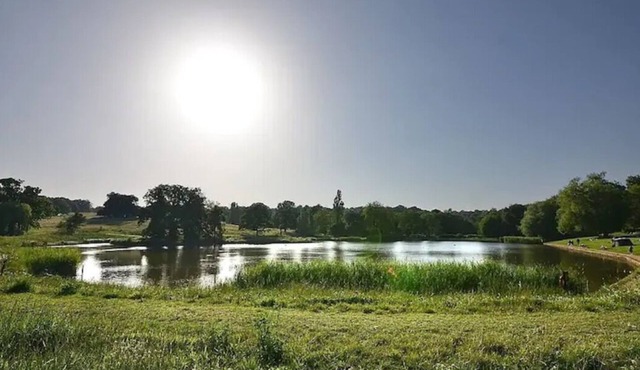 Luxury one bedroom apartment located minutes from Hampstead Heath