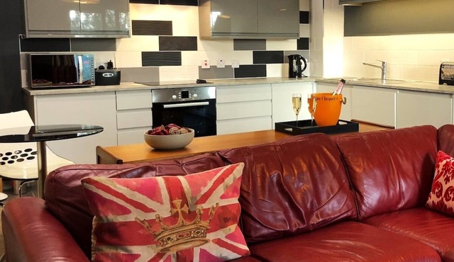 Luxury Ouseburn flat with city & river views