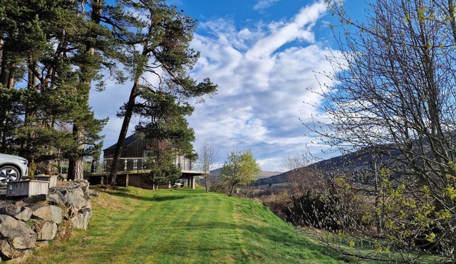 Luxury, Peaceful, Adult Only Romantic Scots Pine Treehouse Near Glenshee