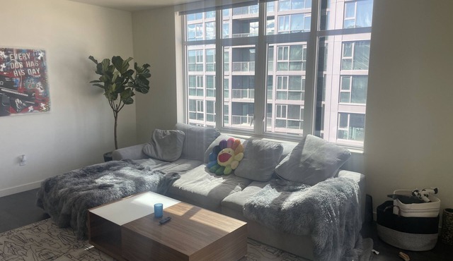 Luxury Penthouse Downtown Denver