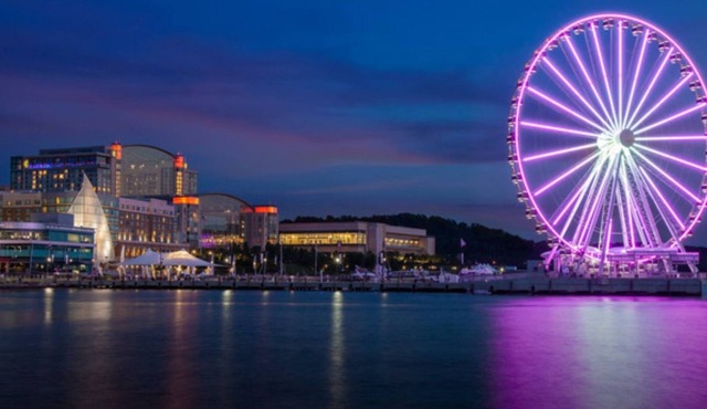 Luxury | Penthouse | Gem