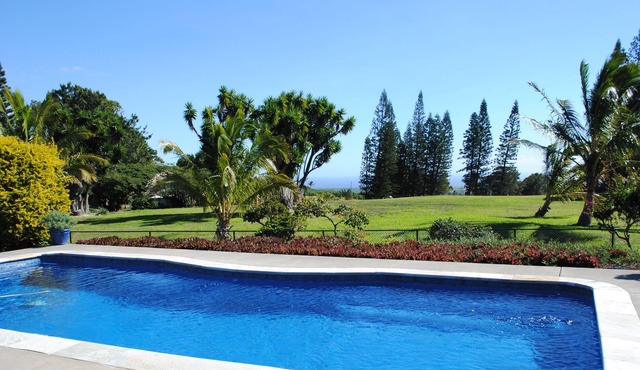 Luxury, pool, 3 Bed, 2 Bth, call to 150 countries, 500Mbps web, 300 channels