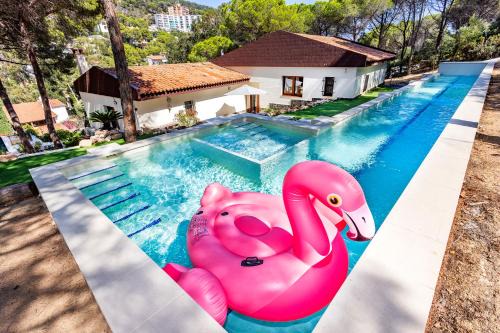 Luxury private Villa - 25m Pool - Gym - 2 min to Beach