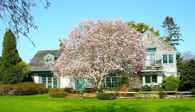 Luxury Private Water Mill English Cottage,Pool/Dock,Published Gardens near beach
