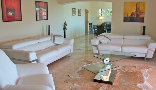 Luxury Provençale Villa Overlooking The Bay of Cannes