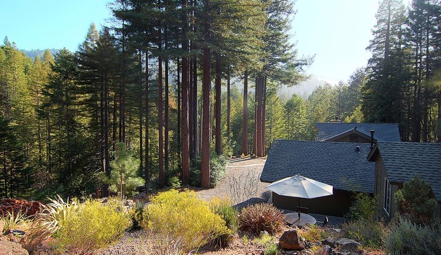 Luxury Redwoods Estate Compound w/Hot Tub and Fire Pit