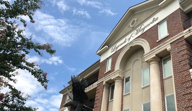 Luxury Rental with View of Football Stadium and 2 Blocks from Toomer's Corner