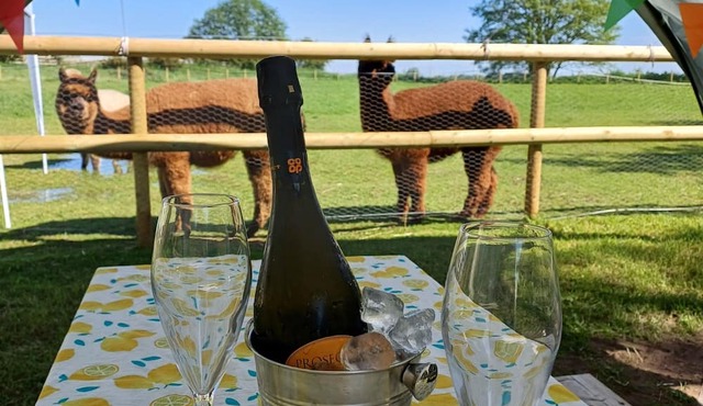 Luxury Retreat near York - Adults Only