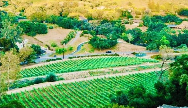 Luxury Retreat, views of Monserate Winery