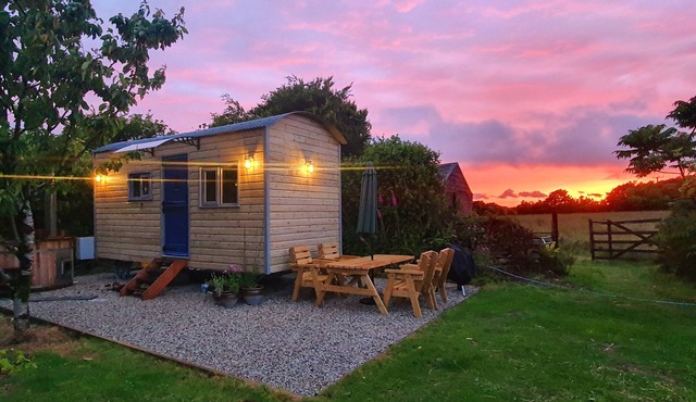 Luxury romantic shepherd's hut - hot tub and Aga